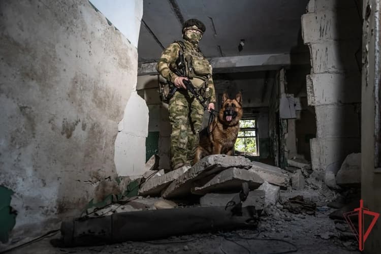В Донецкой Народной Республике служебная собака Росгвардии помогла задержать подозреваемого в преступлении