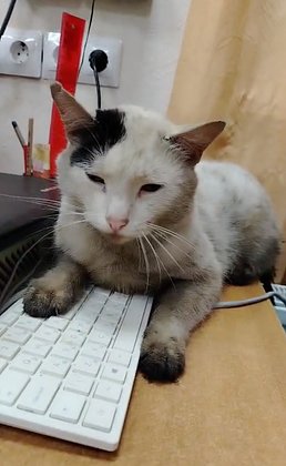 Беспилотная атака: Задымленный порт Туапсе оцеплен Росгвардией