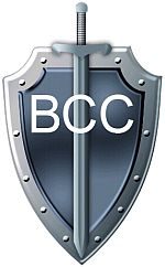 ООО ЧОП "Ветераны Силовых Структур